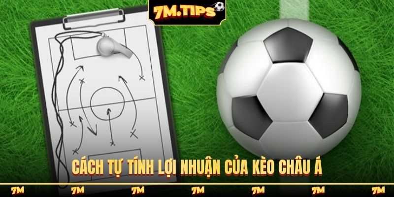Cách tự tính lợi nhuận của kèo Châu Á