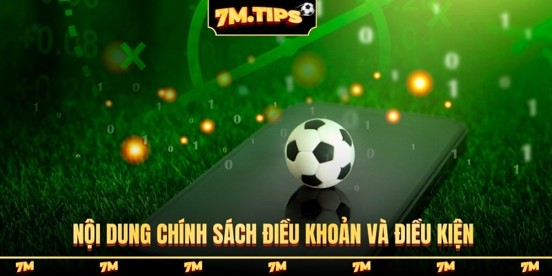 Nội dung chính sách điều khoản và điều kiện