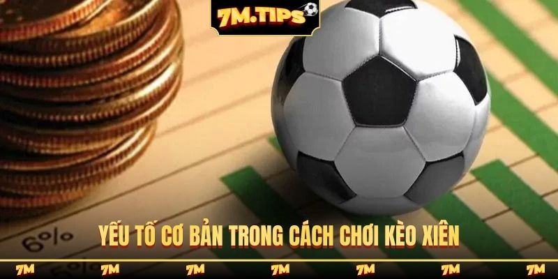 Yếu tố cơ bản trong cách chơi kèo xiên